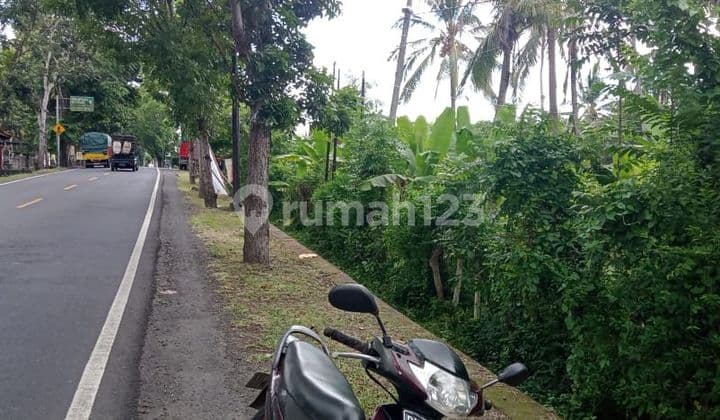 Land on the Gilimanuk - Denpasar highway Tuwed village