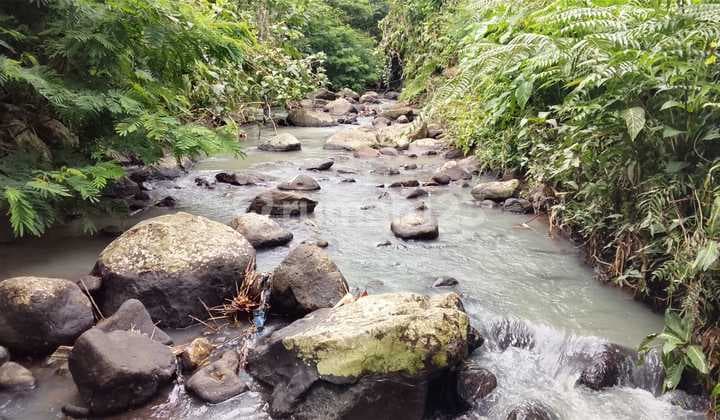 River View Land At Penebel Near Jatiluwih 4760 M²