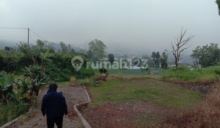 Tanah Bedugul Di Candikuning 9400 M² SHM