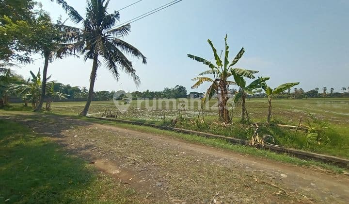 Tanah Murah Kota Negara Luas 91 Are Shm