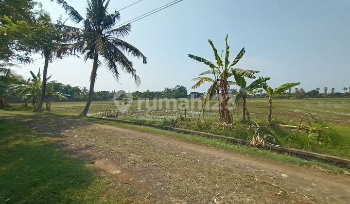 Tanah Murah Kota Negara Luas 91 Are Shm