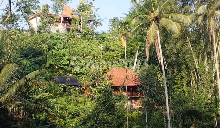 Joglo House with Mountain View in Babahan, Tabanan