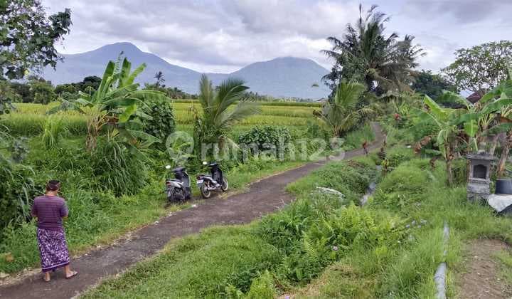 Tanah Babahan Senganan View Gunung Persawahan SHM