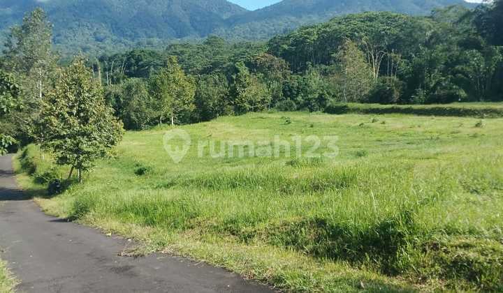 Tanah Di Jatiluwih 5900 M² Good Location