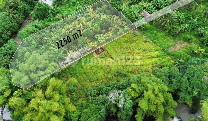 Kelating Beach Land 2250.0 M², Freehold Title, Riverfront.