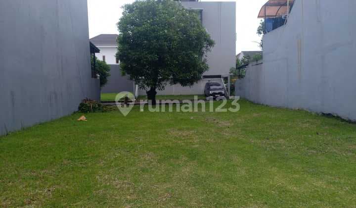 BSD Anggrek Rare Box Plot