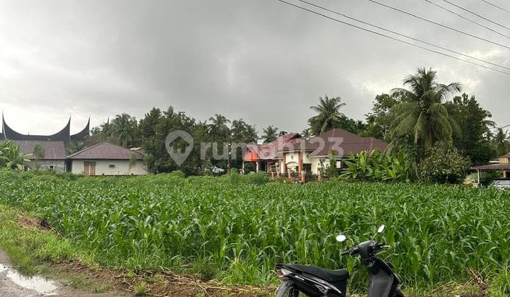 Tanah Bagus Berada Di Lokasi Strategis Kota Lubuk Basung Agam