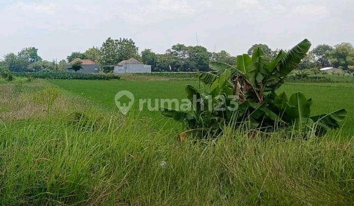 Tanah Strategis, Cocok Di Bangun Gudang, Harga Miring