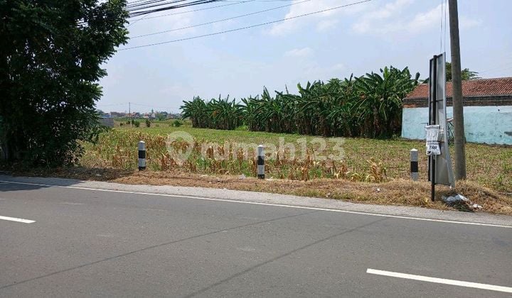 Tanah Strategis, Pekarangan, Cocok Di Bangun Perumahan Elite