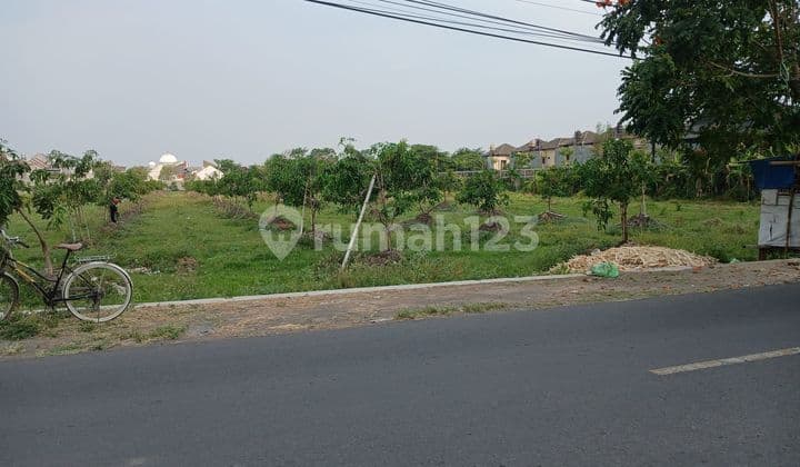 Tanah Strategis, Cocok Di Bangun Perumahan ELITE