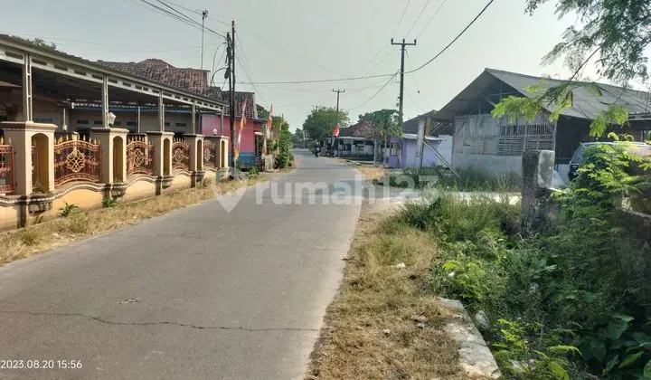 Dijual Tanah murah di Subang dekat tol Cipali Jawa Barat