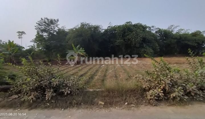 Dijual Murah Tanah di Pagaden Subang dekat tol Cipali strategis