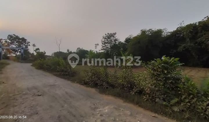 Tanah matang pinggir jalan untuk investasi di drh Pagaden SUBANG