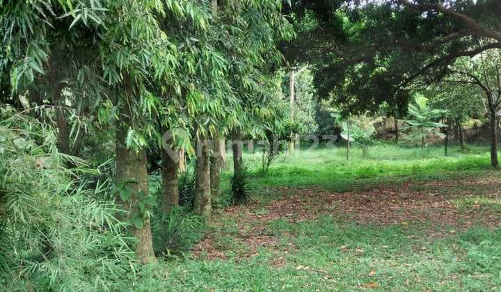 Tanah Jual Cepat di Arco Raya Duren Seribu Depok Pas untuk Invest