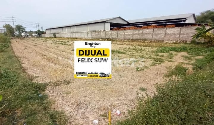 TANAH KERING DI RAYA KREMBUNG JASEM NGORO MOJOKERTO