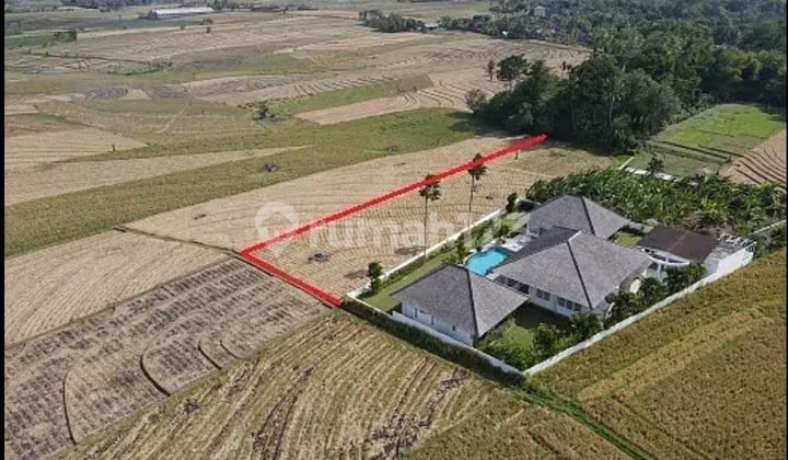 Agriculture Land Near Klecung Beach Tegalmengkeb Tabanan