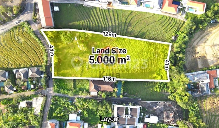 Super Rare Vacant Land Pererenan Canggu Bali