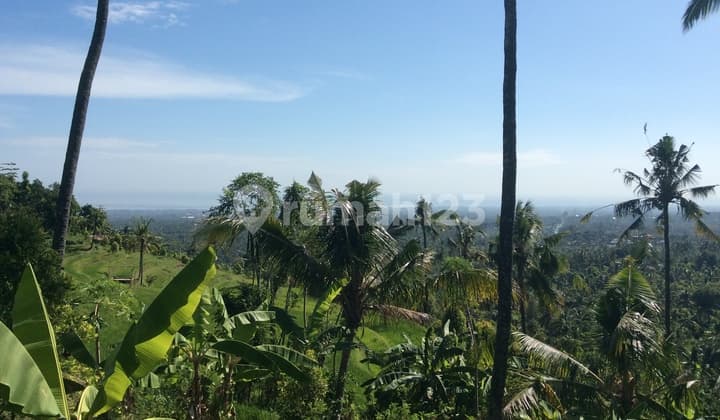 Magnifficient Panoramic Ocan View Land Panji Singaraja North Bali