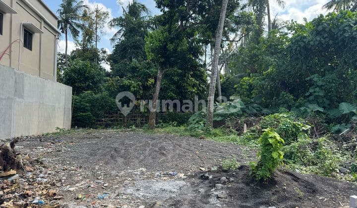 Tanah 2 Are Ubud Cocok Untuk Airbnb Villa