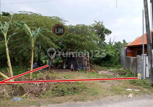 Kedungu Land Rice Field View Close To The Beach