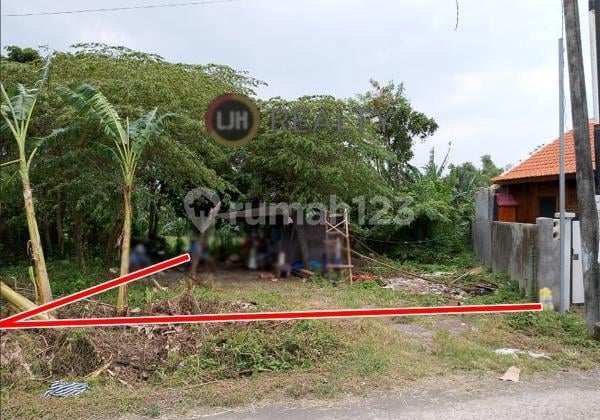 Kedungu Land Rice Field View Close To The Beach