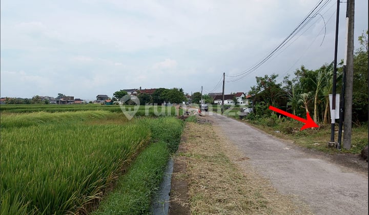 Small Plot Land with Rice Field View Close to Kedungu Beach