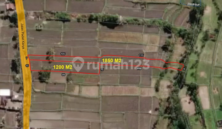 Tanah Sawah Pedesaan Dekat Kota Gianyar Bali