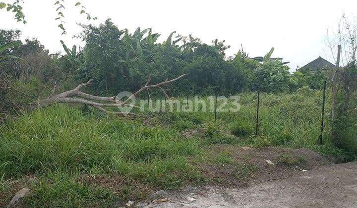 Affordable Residential Land Plots Near Keramas Beach Gianyar