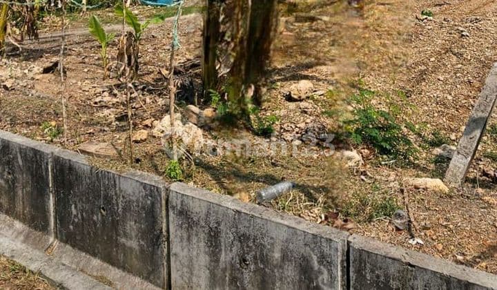 Jual Tanah Di Jl. Daendles Wedung Sedayulawas Brondong Lamongan.