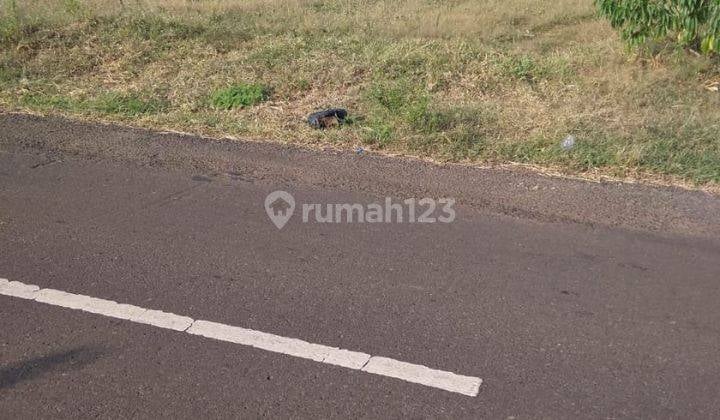 Tanah Industri Karangasem Tambak Boyo Tuban Tanah Industri Karangasem Tambak Boyo Tuban