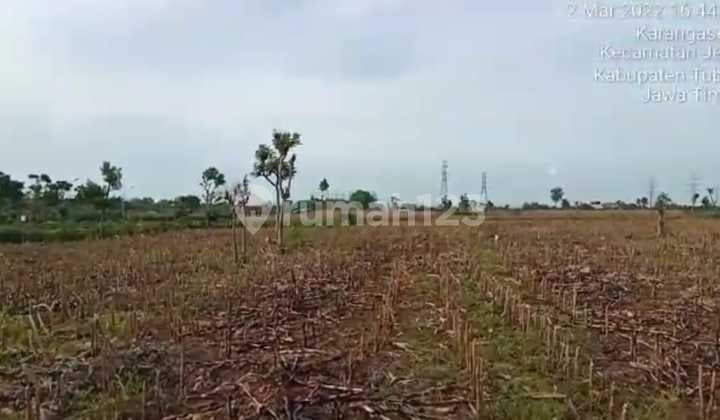 Tanah Industri Karangasem Tambak Boyo Tuban