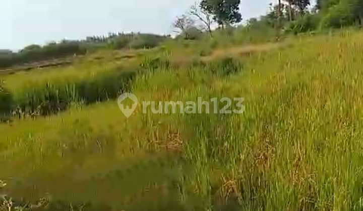 Tanah Industri Dan Gudang Bancar Tuban