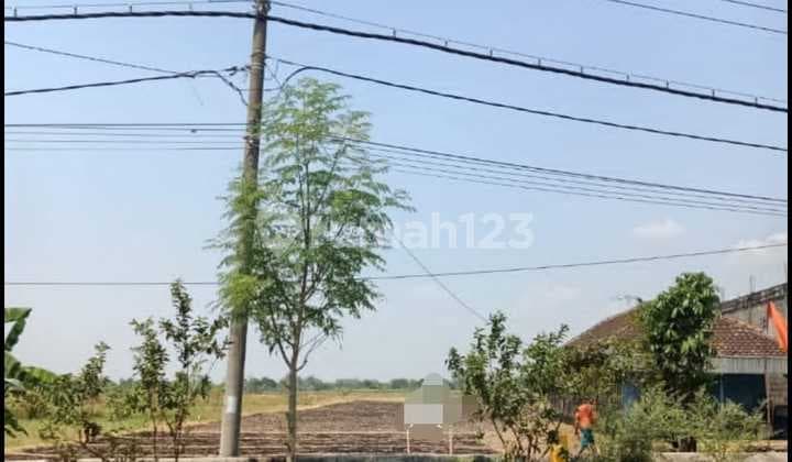 Land on Jl.raya Munggugianti Benjeng Gresik.
