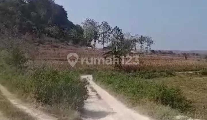 Tanah Tambang di Pakah Tuban Tanah Tambang di Pakah Tuban