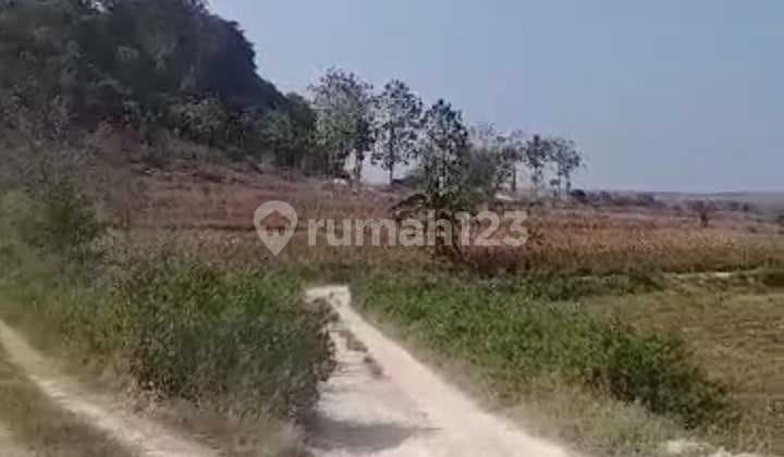 Tanah Tambang di Pakah Tuban