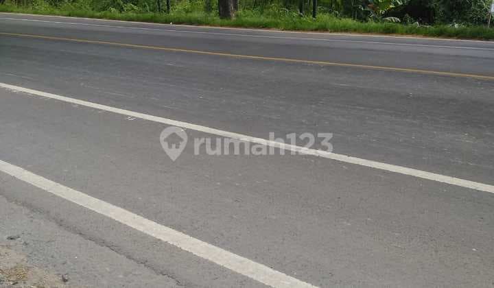 Pereng Jenu Tuban Land