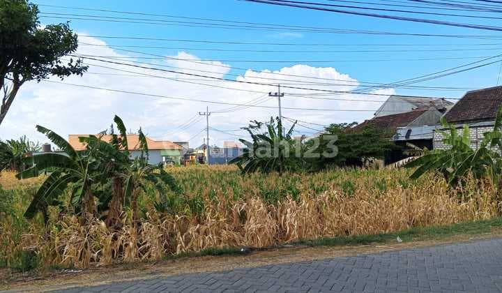 Land in Putat Lor Village, Menganti, Gresik