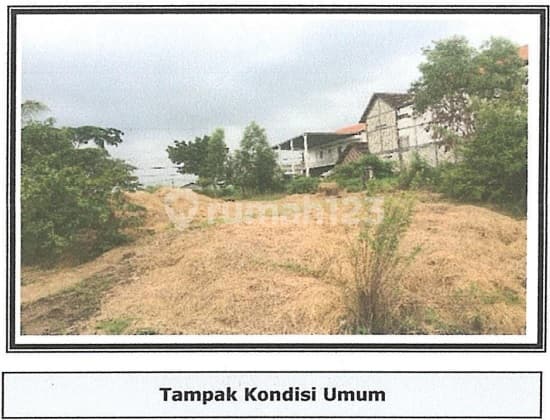 Tanah di Jl Raya Kedung Sumber Balongpanggang Gresik