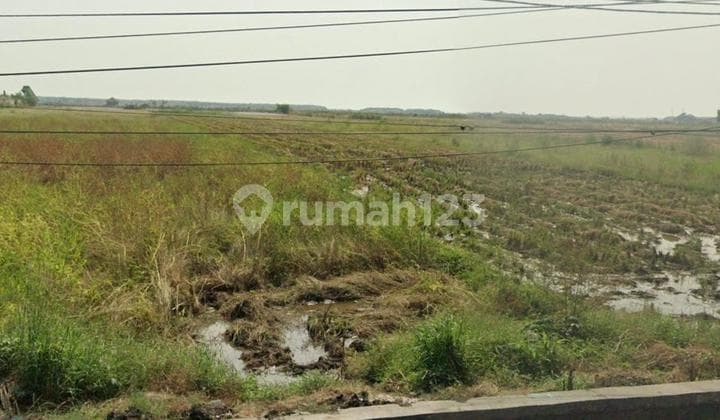 DIJUAL TANAH INDUSTRI DI CIREBON