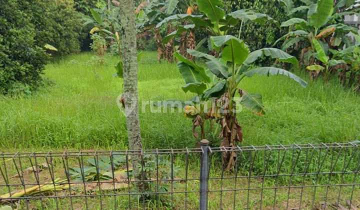 DIJUAL TANAH DI CIKEAS BOGOR