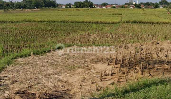 Dijual Tanah Industri di Pagadengan Subang