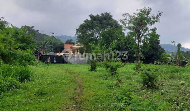 Cocok Dibangun Komplek Villa Kavling 1.23ha Nol Jalan Indrokilo Dayurejo Prigen Ada Pagar Keliling