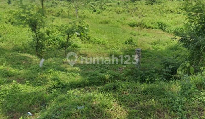 Tanah Nol Jalan Raya Pacet - Murah di Bawah Pasaran