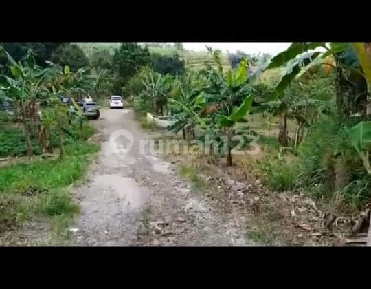 DIJUAL TANAH DI CIGOMBONG DIPINGGIR JALAN DESA (muat 2 mobil)
