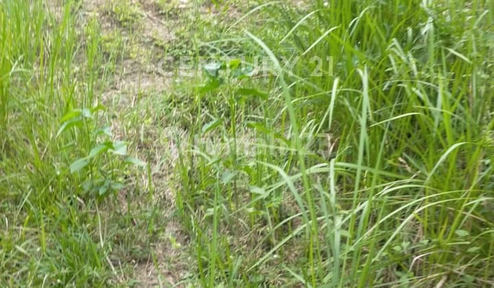 Tanah Kavling Mega Regency Posisi Depan Dekat Alfamart