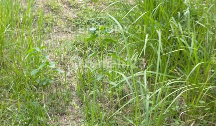 Mega Regency Plot of Land Front Position Near Alfamart