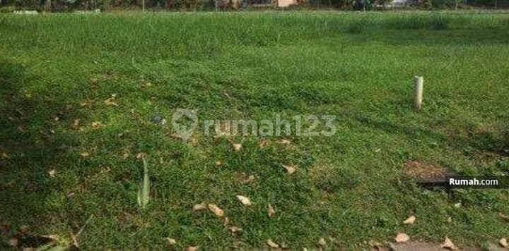 DiJual KAVLING TANAH BESAR KOMERSIL PLUIT 4000m2 n 5000 m²