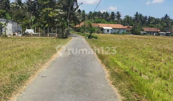 JUAL TANAH DI SLEMAN KULONPROGO TEMON. NGANTONG. DEKAT BANDARA BARU, TOL.. JUAL MURAH BIAR CEPAT