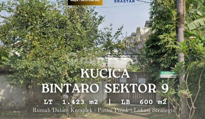 Rumah Bintaro Luas 1400 Meter Dalam Komplek Lokasi Strategist Harga Terbaik Tangerang Selatan