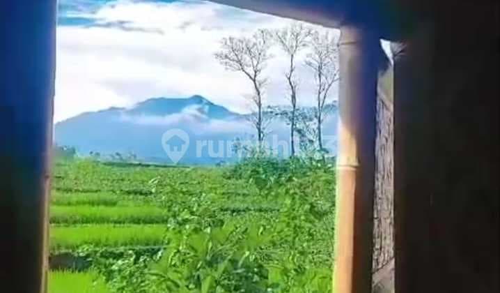 Dijual Bu Cepat Seharga Tanah Sawah Kosongan, Villa Bandung